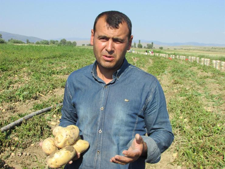 Çuval çuval yola çıktı, fiyatlar düşecek