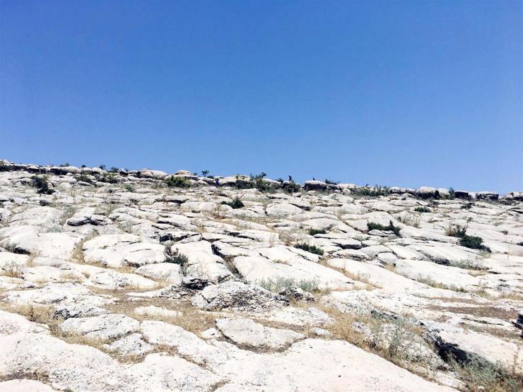 Silvanda kaybolmuştu, İstanbulda görüldüğü iddiası araştırılıyor