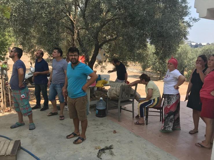 Bodrumda orman yangını yerleşim yerlerini tehdit ediyor