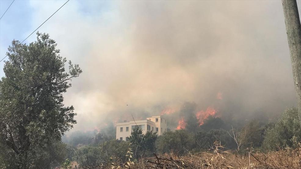Bodrumda orman yangını yerleşim yerlerini tehdit ediyor