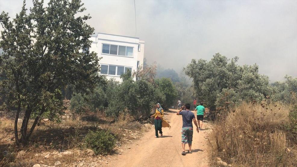 Bodrumda orman yangını yerleşim yerlerini tehdit ediyor