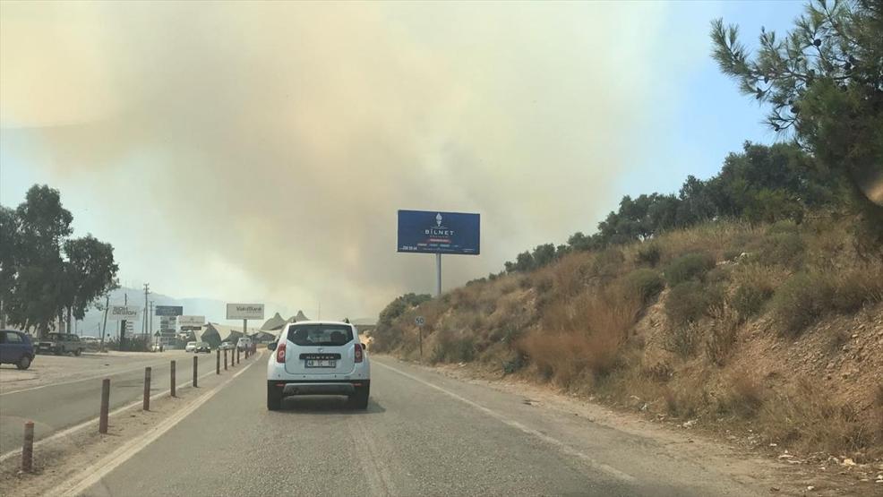 Bodrumda orman yangını yerleşim yerlerini tehdit ediyor