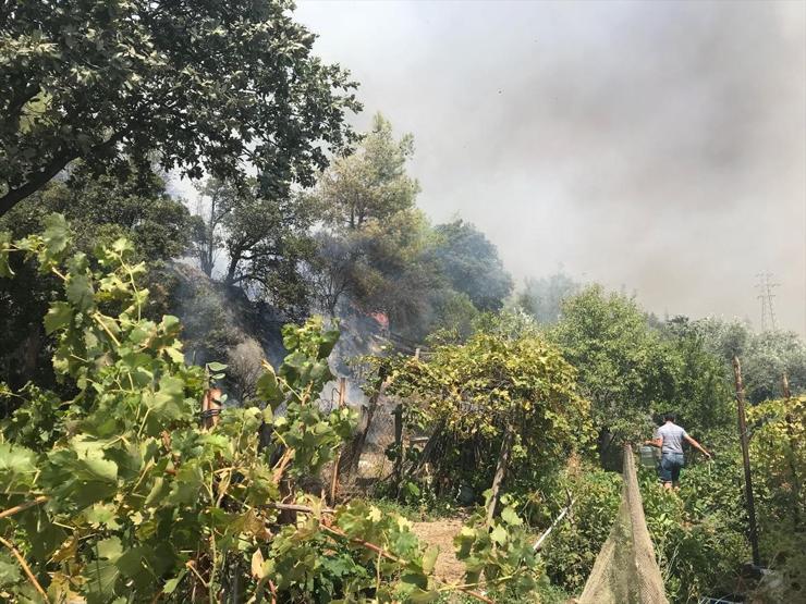 Bodrumda orman yangını yerleşim yerlerini tehdit ediyor
