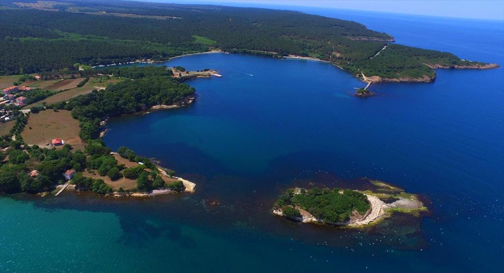 Hamsilos Tabiat Parkı ziyaretçilerine görsel şölen sunuyor