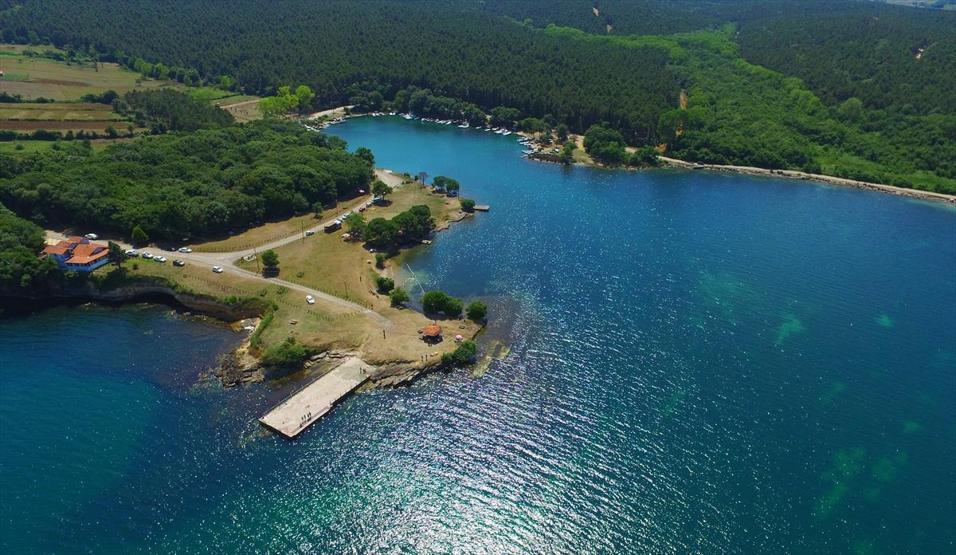 Hamsilos Tabiat Parkı ziyaretçilerine görsel şölen sunuyor