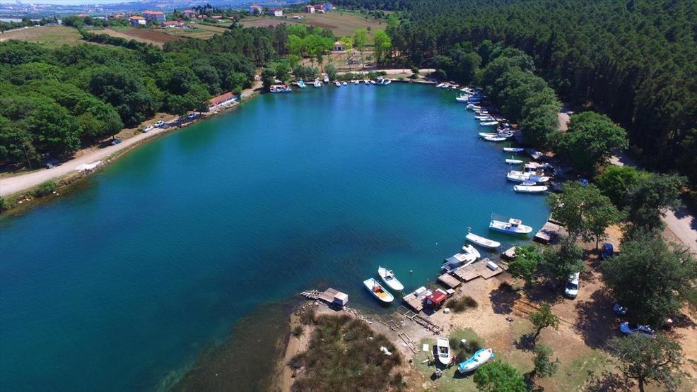 Hamsilos Tabiat Parkı ziyaretçilerine görsel şölen sunuyor