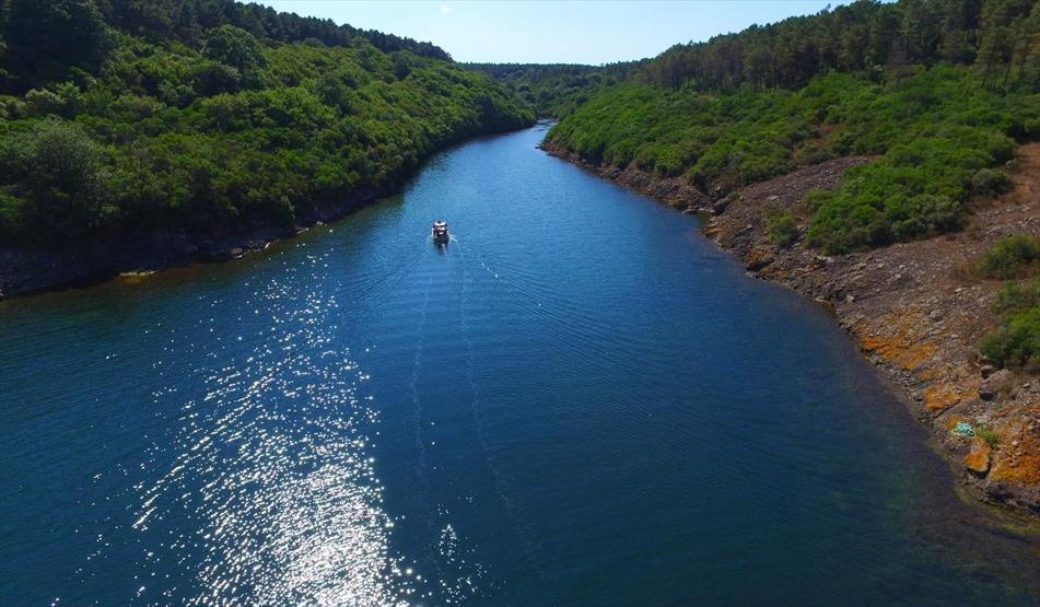 Hamsilos Tabiat Parkı ziyaretçilerine görsel şölen sunuyor