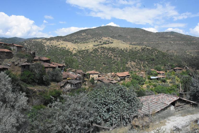 Hayalet köy Lübbeyin son sakinleri SİTten dertli