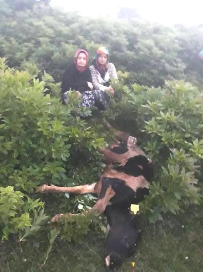 Kurt saldırısına karşı pompalı nöbet