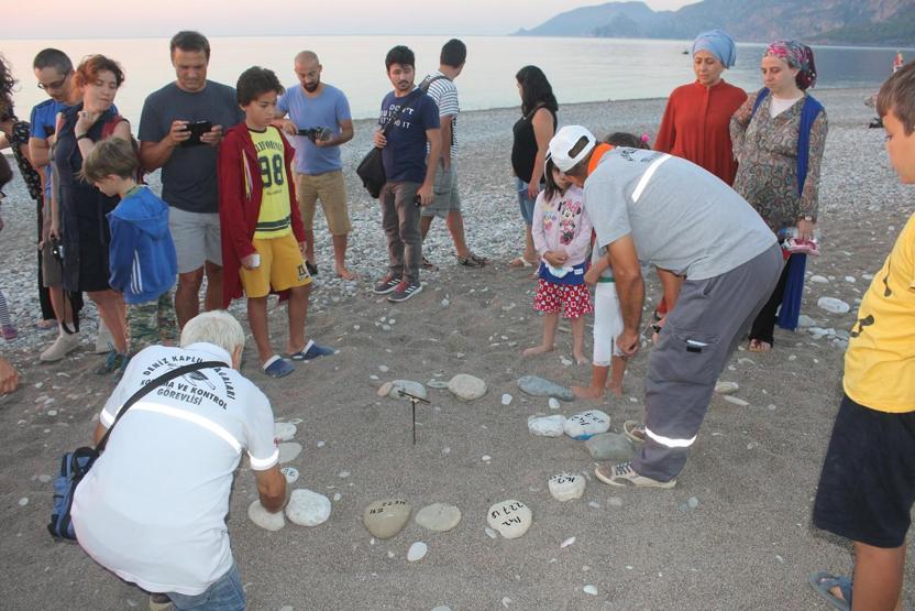 Caretta caretta yuvasında son 22 yılın rekoru kırıldı