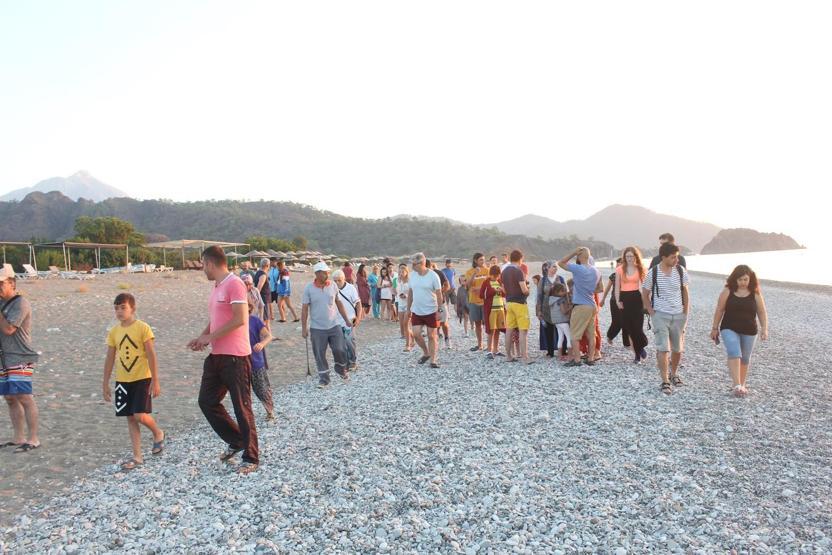 Caretta caretta yuvasında son 22 yılın rekoru kırıldı