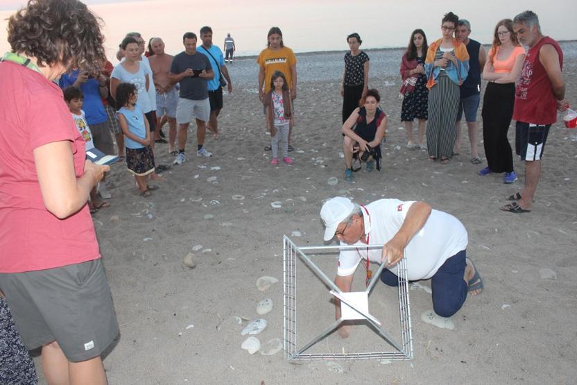 Caretta caretta yuvasında son 22 yılın rekoru kırıldı
