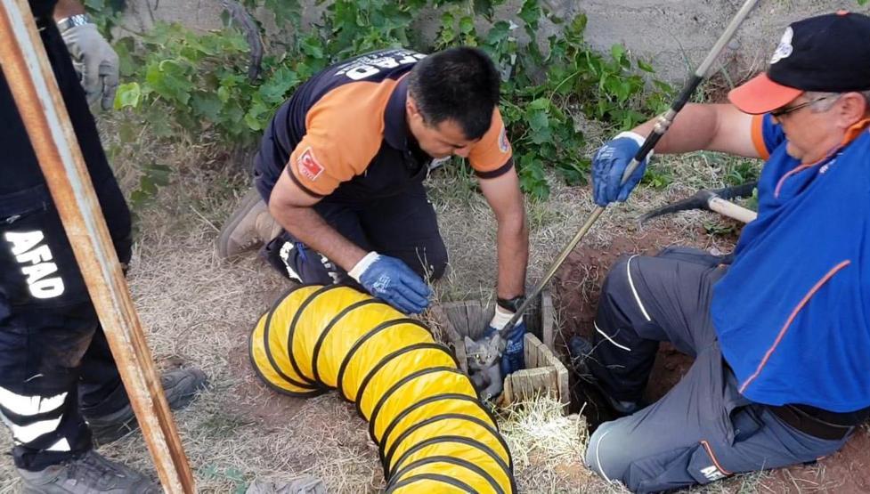 5 metrelik kuyuya düşen kediyi AFAD kurtardı