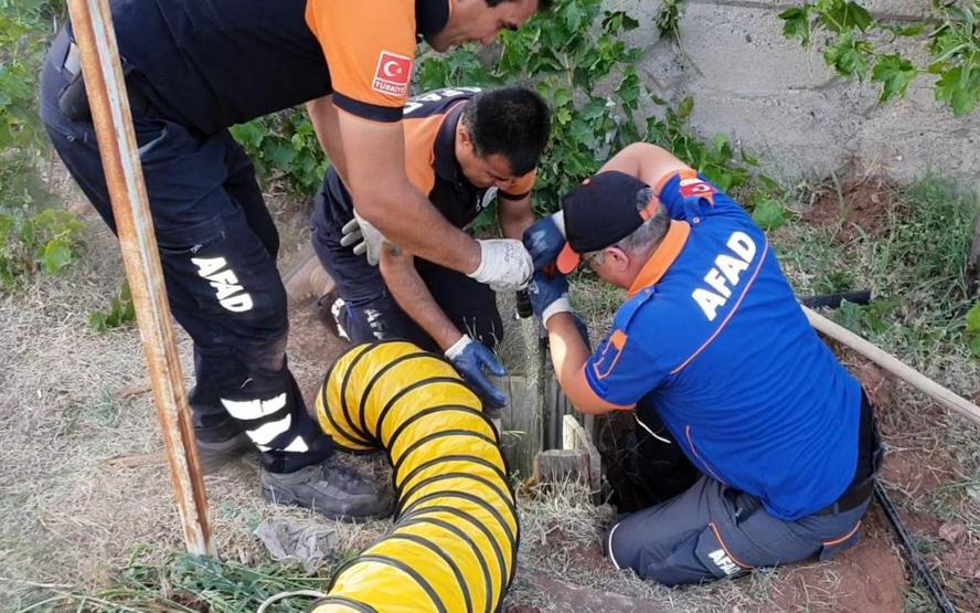 5 metrelik kuyuya düşen kediyi AFAD kurtardı