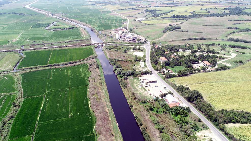 Ergene Nehri ölüm saçıyor