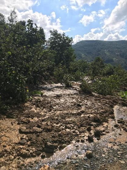 Orduda felaketin ardından korkutan gelişme: 18 ev boşaltıldı