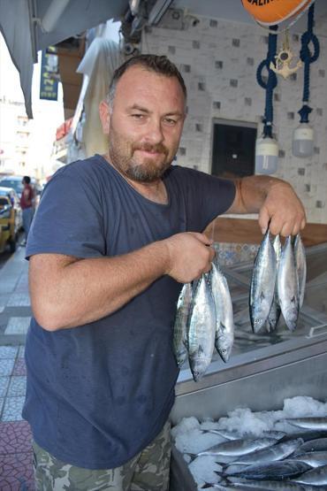 Sezonun ilk palamutları tezgahlardaki yerini aldı