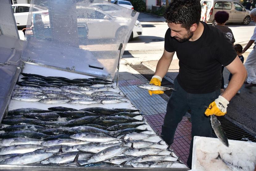 Sezonun ilk palamutları tezgahlardaki yerini aldı