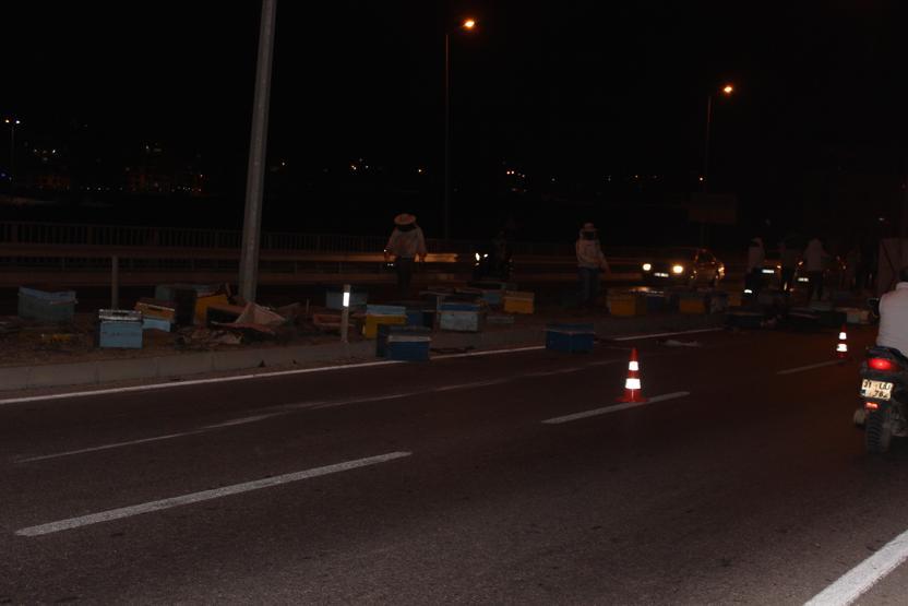 Arı kovanı yüklü kamyonet devrildi, kimse yanına yaklaşamadı