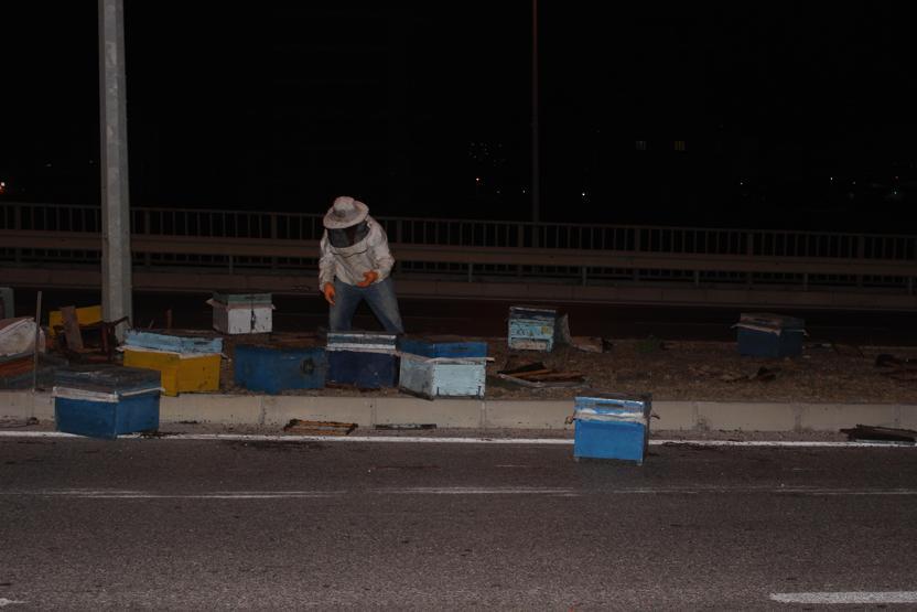 Arı kovanı yüklü kamyonet devrildi, kimse yanına yaklaşamadı