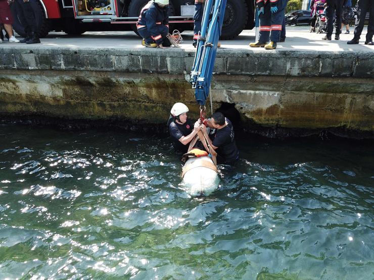 Sarıyerde bindiği at ile denize düştü
