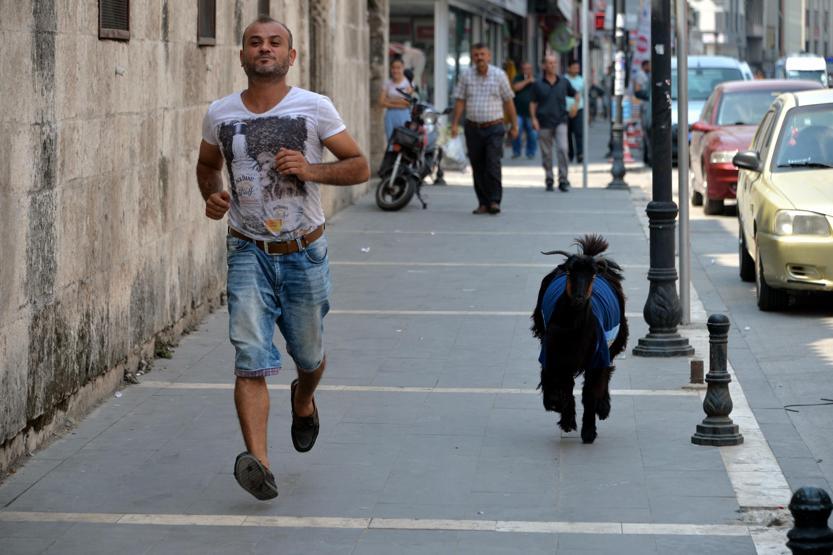 Kurbanda kes dediler dinlemedi... İşte Adananın Nazlısı...