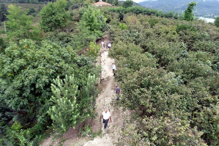 Fındık bahçesinden tarihi kale çıktı