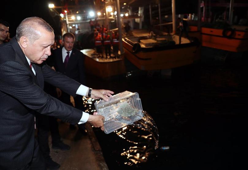Cumhurbaşkanı Erdoğan balık sezonunu açtı