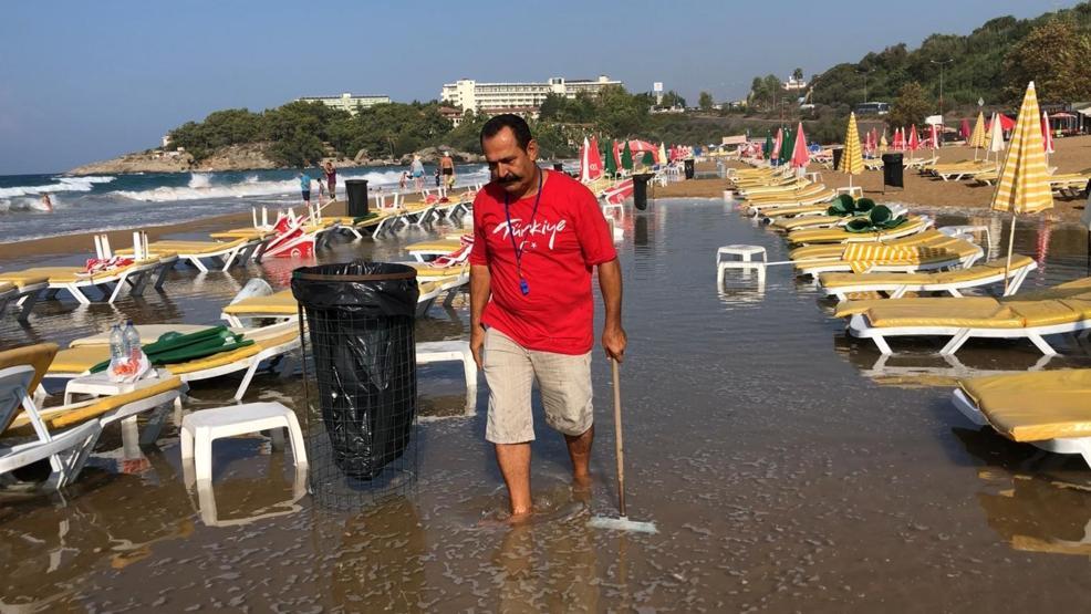 Sabah plaja gelen işletmeci gözlerine inanamadı