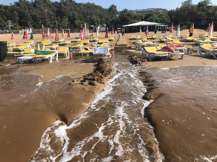 Sabah plaja gelen işletmeci gözlerine inanamadı