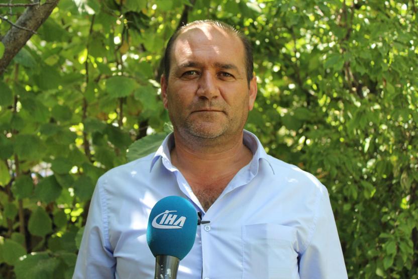 Van’da fındık hasadı