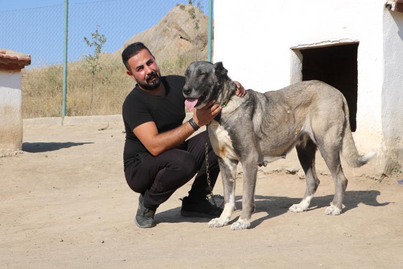 K-9’ların yerini Kangal alıyor