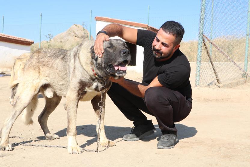 K-9’ların yerini Kangal alıyor