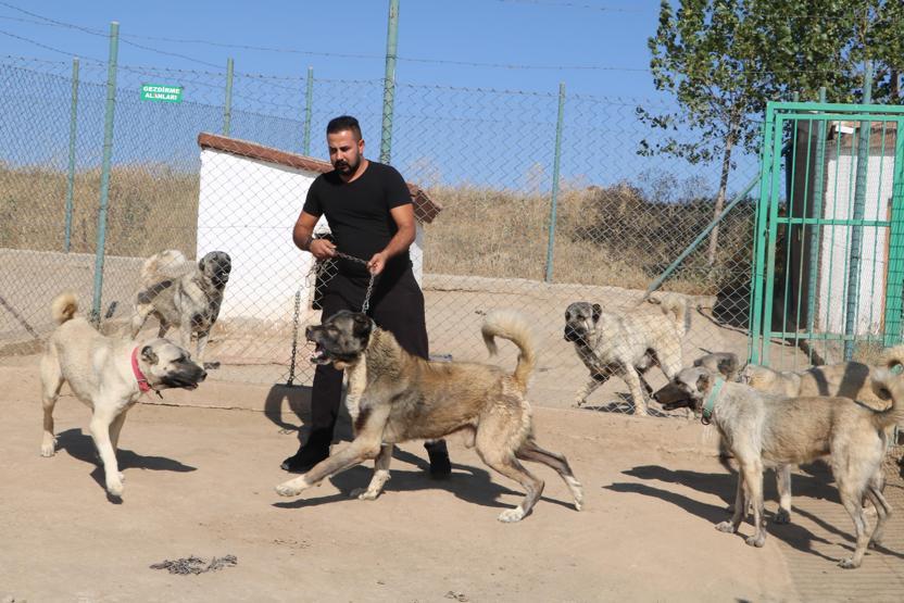 K-9’ların yerini Kangal alıyor