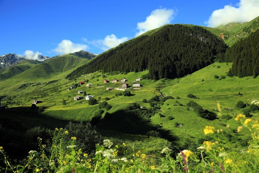 Rizede 11 Ayder Yaylası daha bulundu