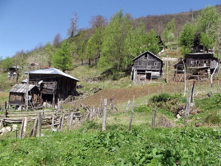 Rizede 11 Ayder Yaylası daha bulundu