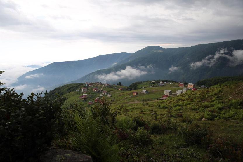 Rizede 11 Ayder Yaylası daha bulundu