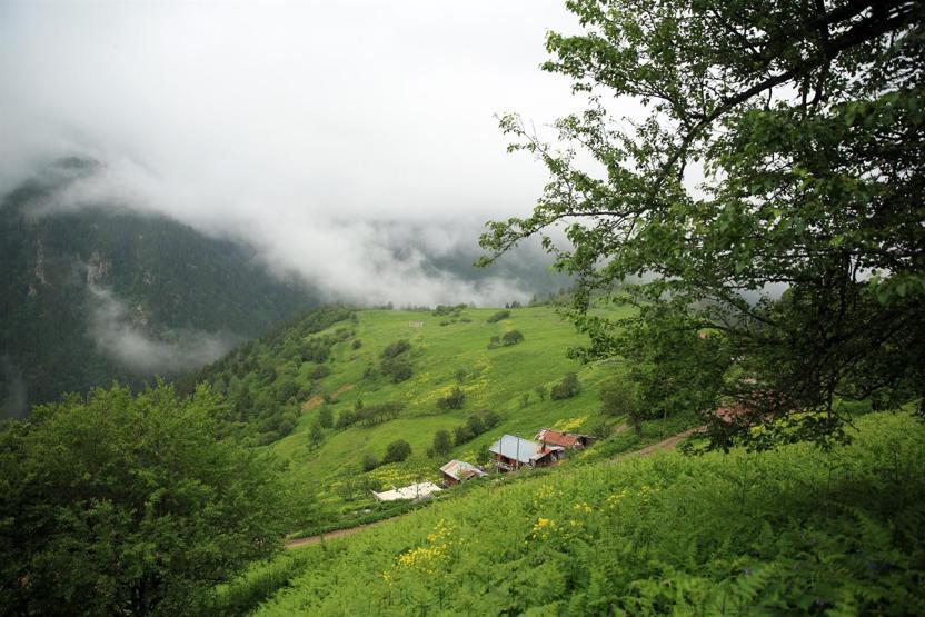 Rizede 11 Ayder Yaylası daha bulundu