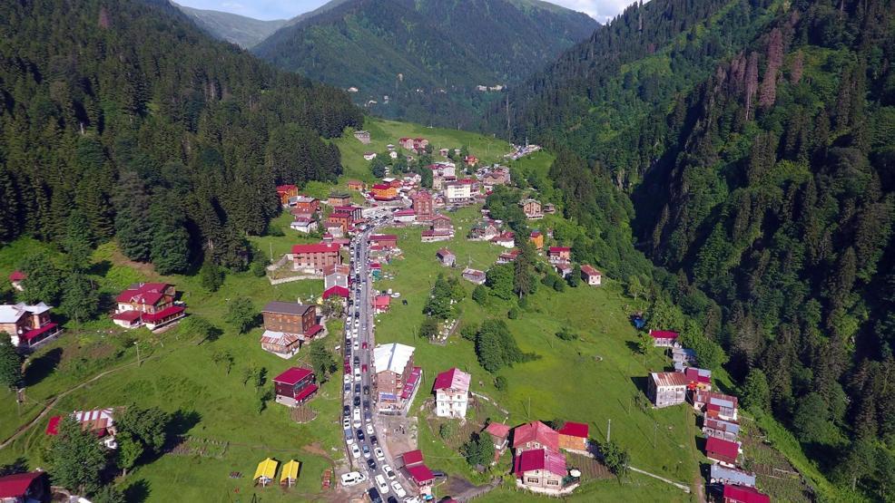 Rizede 11 Ayder Yaylası daha bulundu