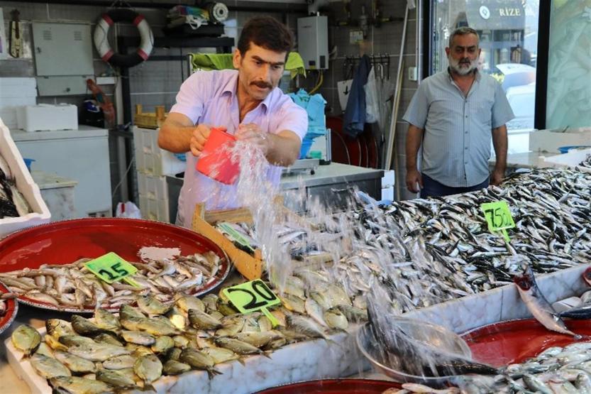 Tezgahlarda balık bolluğu: Palamut 10 lira oldu