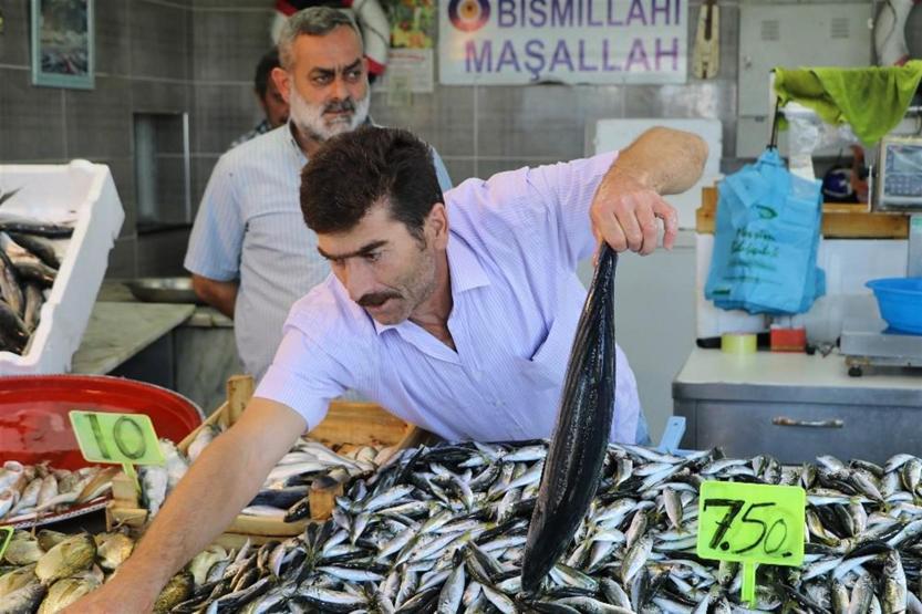 Tezgahlarda balık bolluğu: Palamut 10 lira oldu