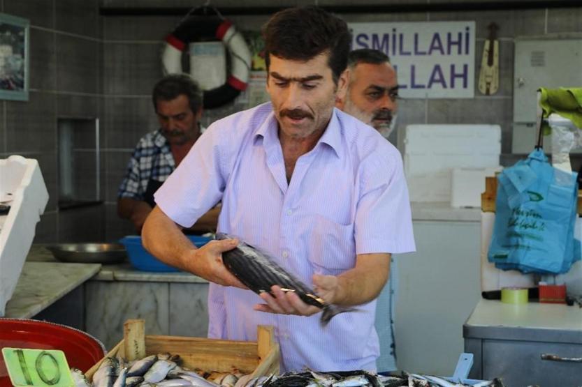 Tezgahlarda balık bolluğu: Palamut 10 lira oldu