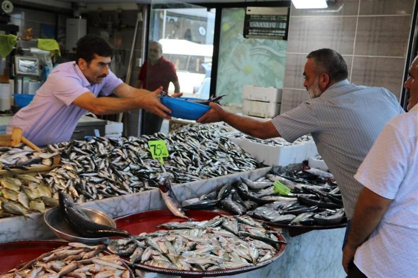 Tezgahlarda balık bolluğu: Palamut 10 lira oldu