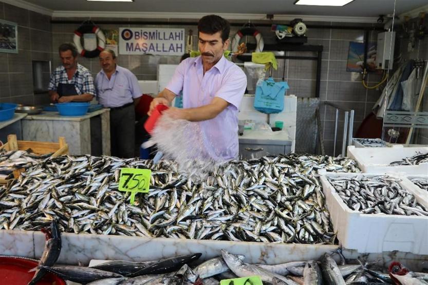 Tezgahlarda balık bolluğu: Palamut 10 lira oldu