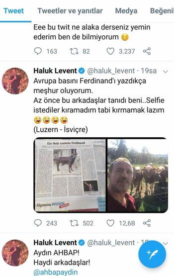 Yüzen boğa Ferdinand, Avrupa basınında