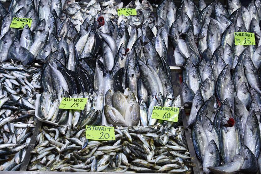 Çanakkalede tezgahlar doldu, balık fiyatları düştü