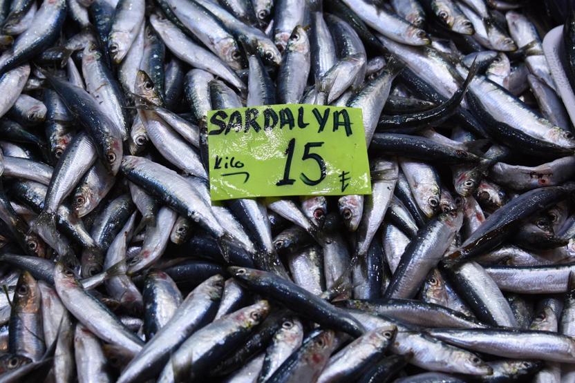 Çanakkalede tezgahlar doldu, balık fiyatları düştü