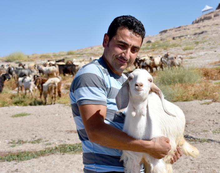 10 milyon yıl önce yaşamış fil fosillerini çoban buldu