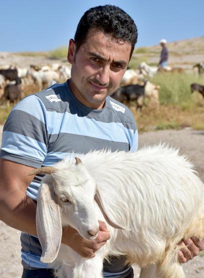 10 milyon yıl önce yaşamış fil fosillerini çoban buldu