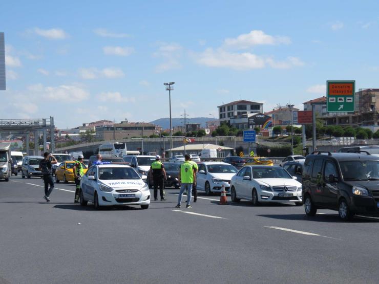 İstanbulda Kurt Kapanı 24 denetimi